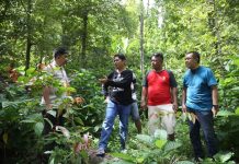 La Bakry Kian Gencar Kembangkan Pala di Buton