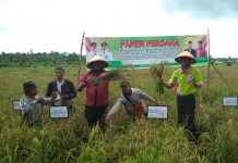 Bupati Buteng Genjot Potensi Pertanian