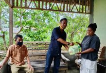 Tingkatkan Produksi Jambu Mete di Butur, Aswadi Adam Bantu 300 Paket Pupuk