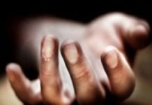 Hendak Mencari Air Terjun, Pelajar SMP di Bombana Meninggal Dililit Piton