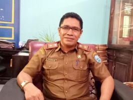 Pendaftaran CPNS dan PPPK Dibuka Mei