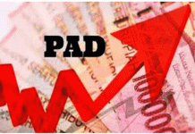 Alur PAD Lippo Plaza Buton Belum Jelas Usai Diserahkan