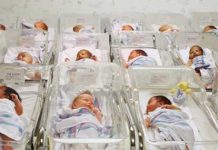 DP2KB Baubau Antisipasi “Baby Boom” Pascapandemi