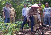 Arusani Komitmen Dorong Swasembada Pangan Daerah