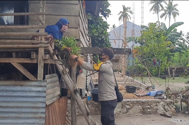 Ketgam : Warga Desa Batubanawa mendapat jatah sayur gratis hasil panen Green House binaan Bhabinkamtibmas dan Ibu-ibu PKK desa setempat. (FOTO ISTIMEWA)