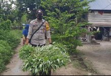 “Green House” Panen Lagi, Pak “Bhabin” di Polsek Mastim Bagi-bagi Sayur Gratis