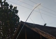 Hendak Pasang Tiang Internet di Kabaena, Pria Asal Konsel Meninggal Tersengat Listrik