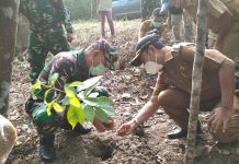 Perkuat Ketahanan Pangan, TNI dan Pemkab Buton Kian Sinergi