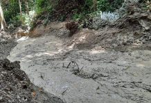Kawasan Hutan Air Terjun Kanari di Sorawolio Baubau Longsor