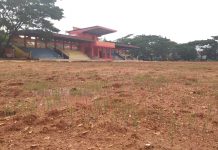Rumput Stadion Betoambari Impor dari Jepang