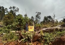 Penambang Ilegal di Wilayah IUP PT MOM Diminta Angkat Kaki
