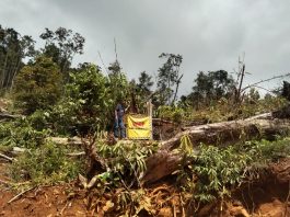 Penambang Ilegal di Wilayah IUP PT MOM Diminta Angkat Kaki