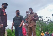 Kementan Dorong Buteng Jadi Lumbung Pangan Sultra