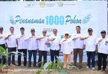 Pemprov Sultra Ikuti Penanaman Seribu Pohon Serentak se-Indonesia