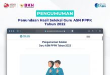 Pengumuman Hasil Seleksi PPPK Guru Ditunda, Apa Sebabnya?