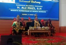 Kunjungi Bombana, Ali Mazi Upayakan Listrik 24 Jam di Kabaena