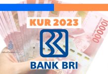 KUR BRI 2023 Dibuka, Simak Syarat dan Ketentuannya!