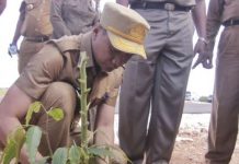 Hari Asri Desa 2023, Pj Sekda Busel Pimpin Penanaman 16 Ribu Pohon