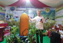 Dinas Pertanian Pamerkan 20 Produk Unggulan Kadis Pertanian Kabupaten Buton Selatan, LM Idris.