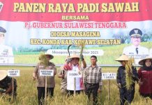 Panen Raya Padi Sawah, Pj Gubernur Sultra Dorong Kesejahteraan Petani