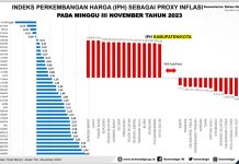 Mendagri Apresiasi Sultra Berhasil Turunkan Angka Indeks Perubahan Harga