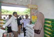 Pj. Bupati Buton Pantau Harga Beras di Pasar Sabho