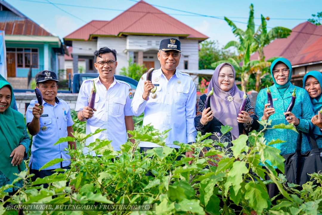 Ketgam : Pemerintah Kabupaten Buton Tengah (Buteng) sukses memanfaatkan lahan pekarangan rumah warga untuk mendukung ketahanan pangan serta mengendalikan inflasi..