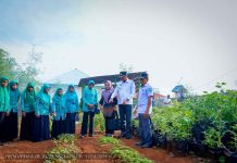 Inovasi Pemkab Buton Tengah Dorong Ketahanan Pangan dan Kendalikan Inflasi Ketgam : Pj. Bupati Buton Tengah, Konstantinus Bukide saat meninjau lokasi pemanfaatan lahan pekarangan terpadu (Plakat),