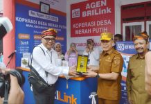 BRI Dukung Peluncuran Koperasi Merah Putih di Buton Tengah, Dorong Kebangkitan Ekonomi Desa Gubernur Sulawesi Tenggara Mayjen TNI (Purn) Andi Sumangerukka menghadiri peluncuran koperasi merah putih di Desa Napa di Kecamatan Mawasangka, Kabupaten Buton Tengah. (foto : Istimewa