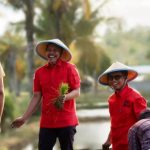 Dari Sawah Karing-Karing, PDI Perjuangan Baubau Kobarkan Semangat Bung Karno