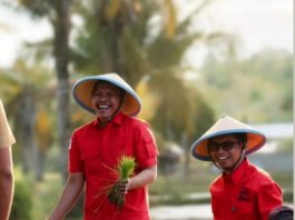 Dari Sawah Karing-Karing, PDI Perjuangan Baubau Kobarkan Semangat Bung Karno