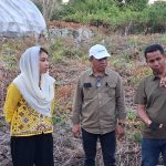 Waode Rabia Tinjau Sentra Produksi Garam di Buton Utara