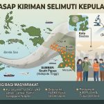 Waspada, Asap Kiriman dari Wilayah Papua Masih Selimuti Kepulauan Buton Ilustrasi