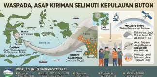 Waspada, Asap Kiriman dari Wilayah Papua Masih Selimuti Kepulauan Buton Ilustrasi